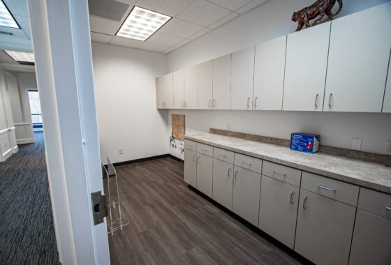 3 Office Suite- Clemson- 1,642 SQ FT photo 10