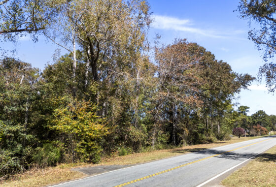 8 Acres Land- HWY 29- Near Lake Hartwell- No Zoning photo 4