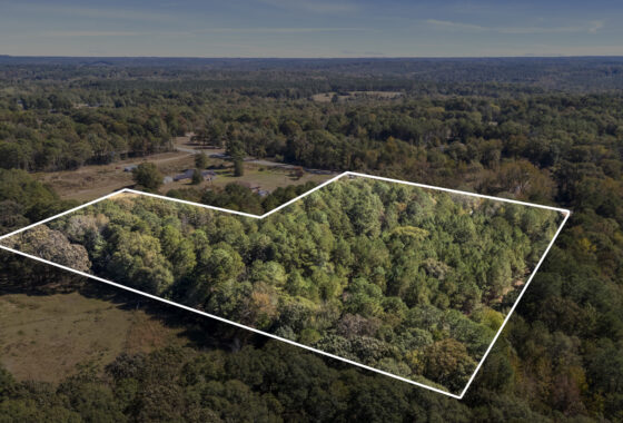 8 Acres Land- HWY 29- Near Lake Hartwell- No Zoning photo 7