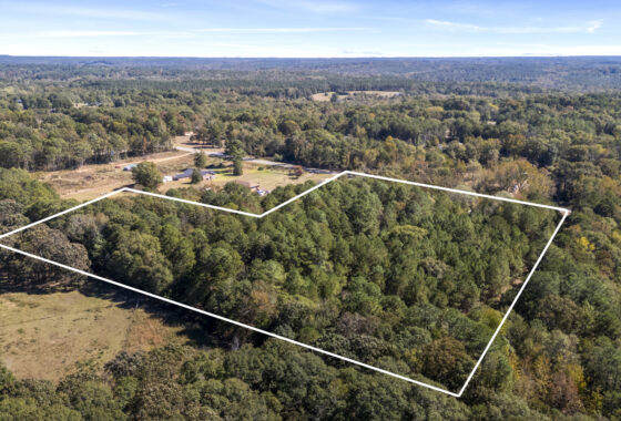 8 Acres Land- HWY 29- Near Lake Hartwell- No Zoning photo 8