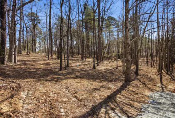 3/4 Acre HWY 11- Oconee County SC photo 12