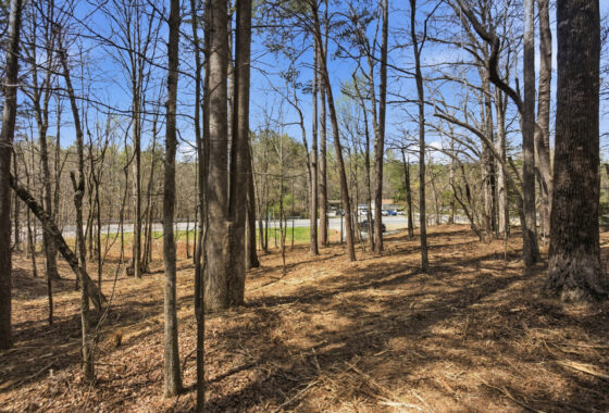 3/4 Acre HWY 11- Oconee County SC photo 5