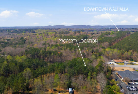 3/4 Acre HWY 11- Oconee County SC photo 9